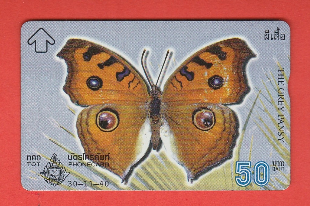 Купить ТАИЛАНД фауна насекомые бабочка / 789G: отзывы, фото, характеристики в интерне-магазине Aredi.ru