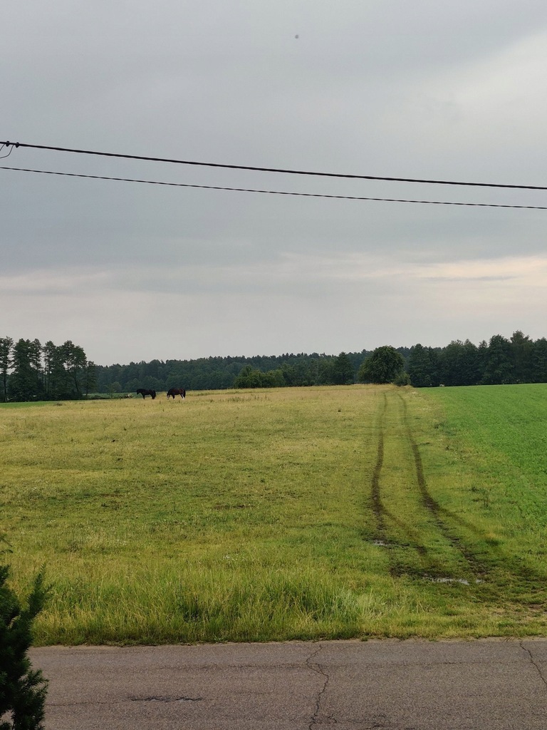 Działki z warunkami na zabudowę jednorodzinną - Obrąb