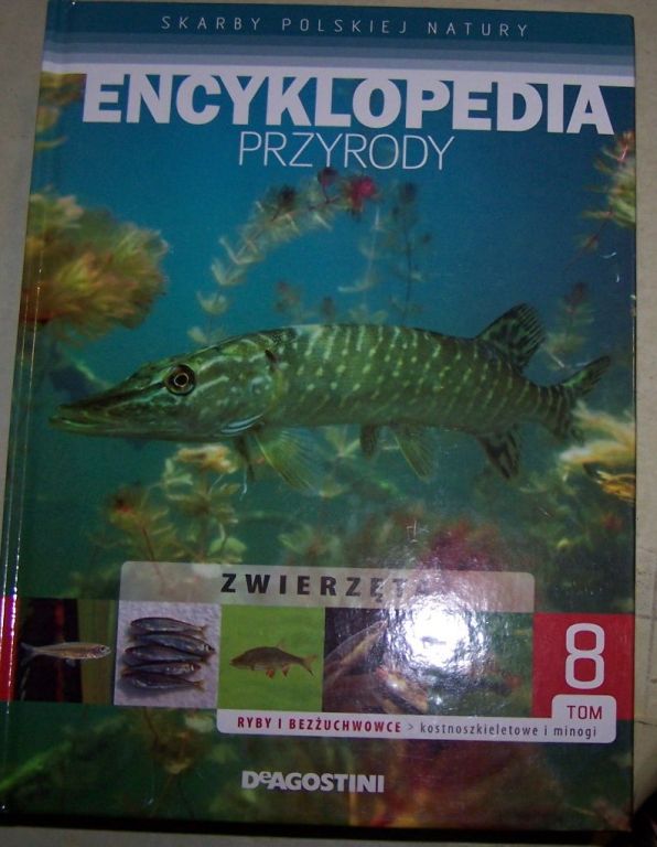 Encyklopedia przyrody - ryby