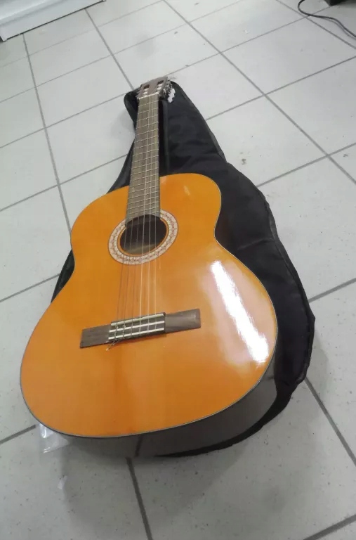 GITARA AKUTYCZNA SKYWAY FUTERAŁ AC-18NAT