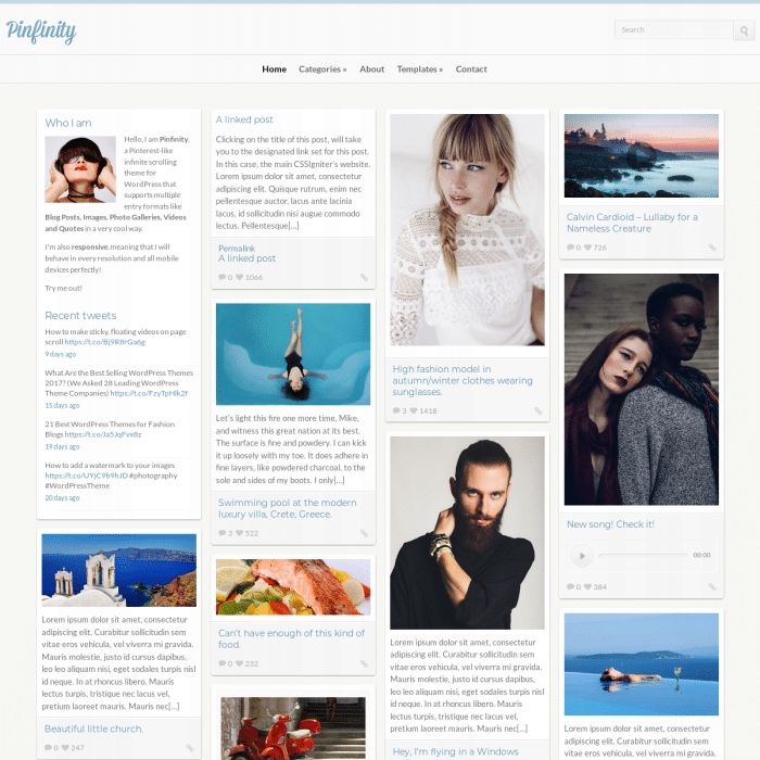 Szablon Pinfinity WordPress Theme