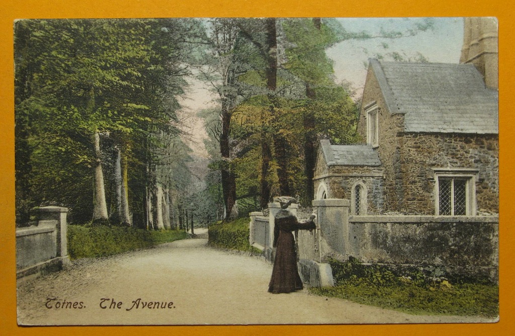 252810, Wlk. Brytania, Totnes, obieg 1905