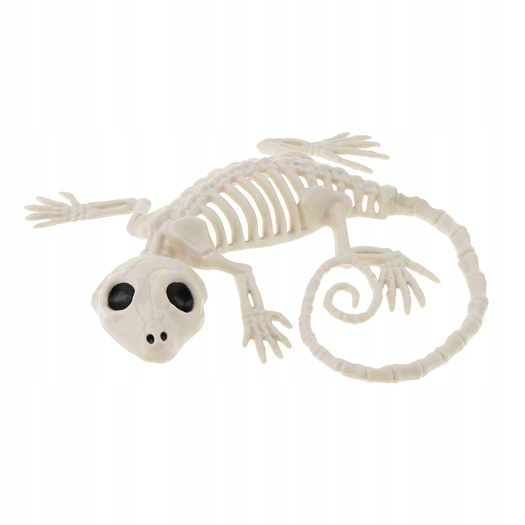 Szkielet zwierzęcy Halloween Naturalne
