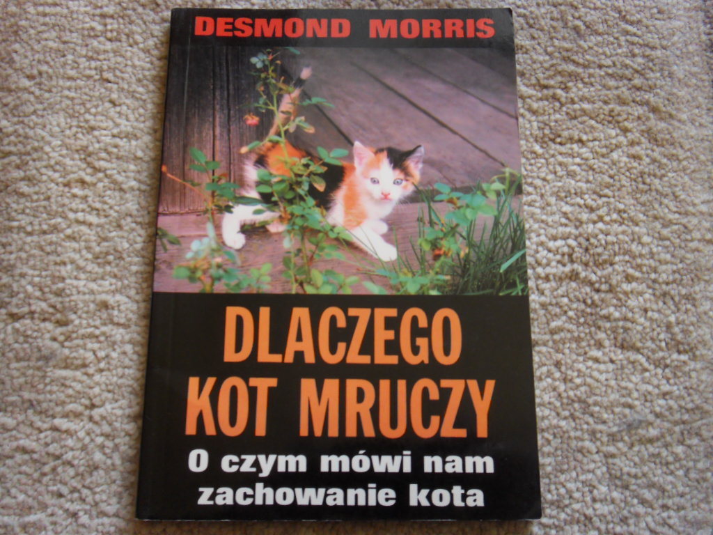 Dlaczego kot mruczy