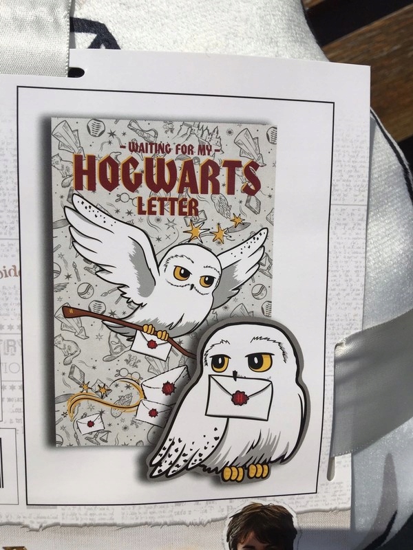 Zestaw Harry Potter (koc+poduszka) Sowa Hedwiga