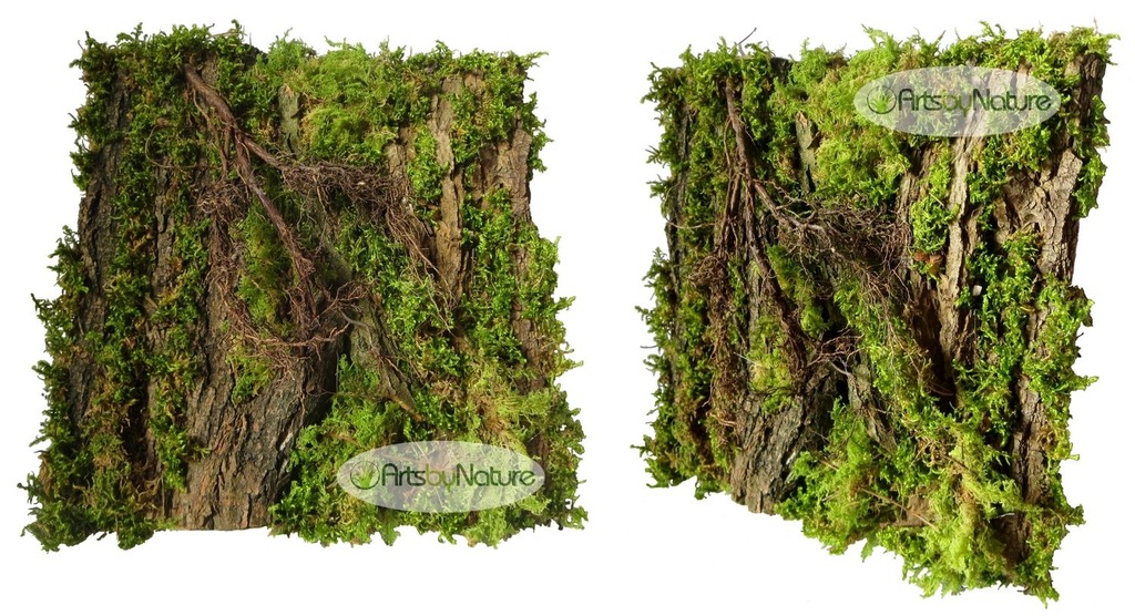 Купить Фон для ЛЕСНОГО ТЕРРАРИУМА - змея, ящерица: отзывы, фото и ...