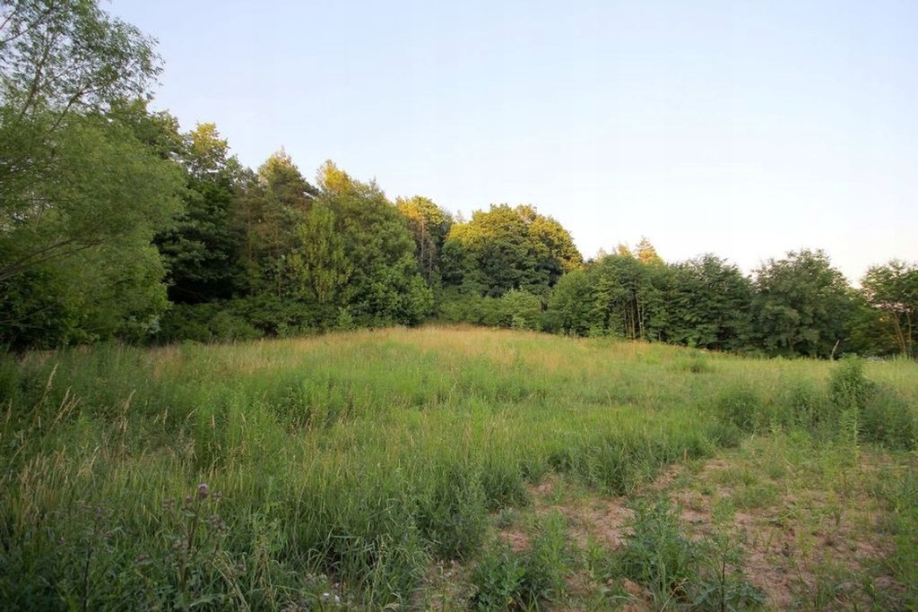 Działka, Grobla, Paszowice (gm.), 2100 m²