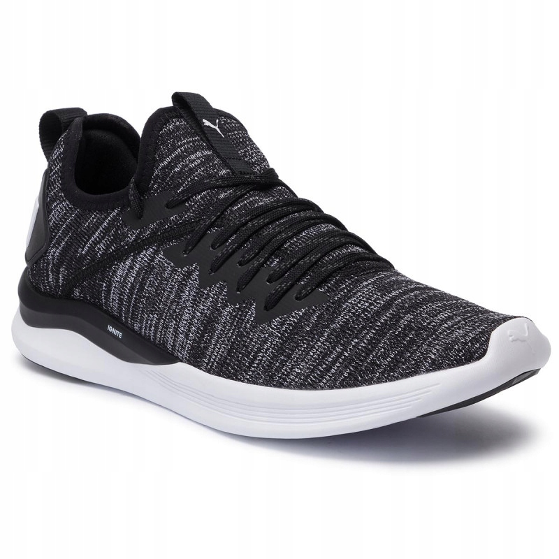 L2567 PUMA IGNITE FLASH EVOKNIT BUTY SPORTOWE 47EU