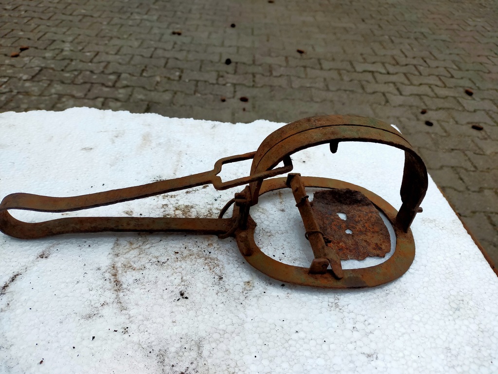 stary potrzask na grubego gryzonia itp