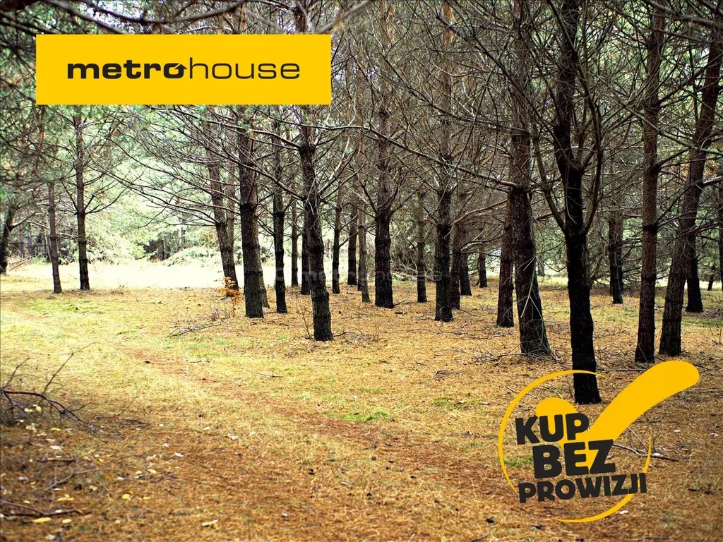 Działka, Lgota Murowana, Kroczyce (gm.), 2190 m²