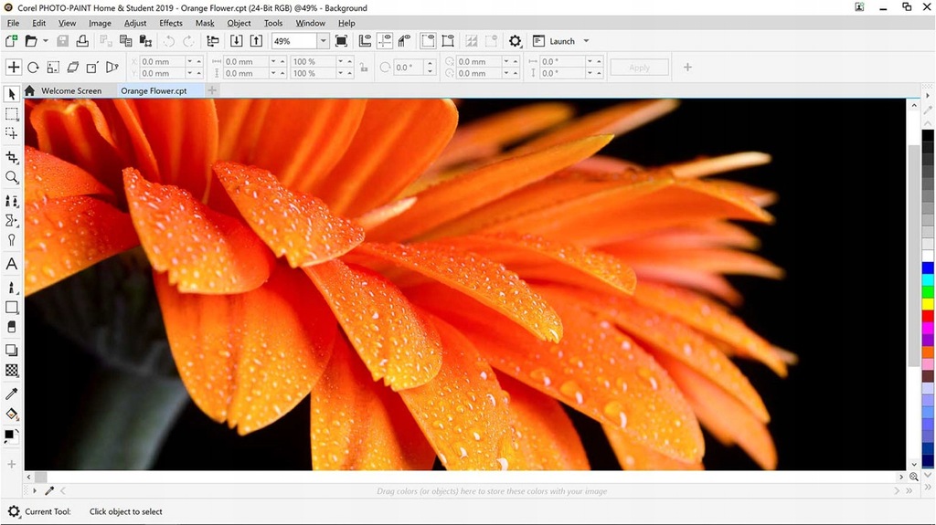 Купить НОВЫЙ COREL 2019 ДЛЯ ДОМ И СТУДЕНТОВ CORELDRAW PL/RU COREL ...