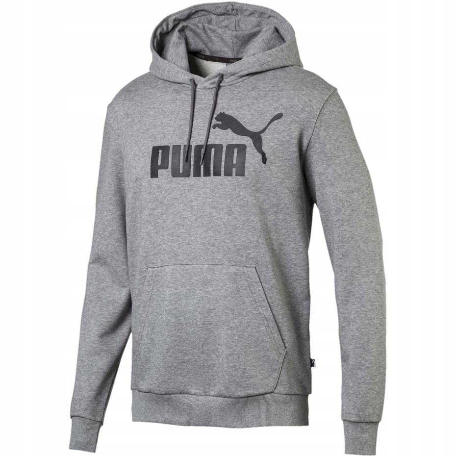 Bluza męska z kapturem Puma Essentials szara 2XL