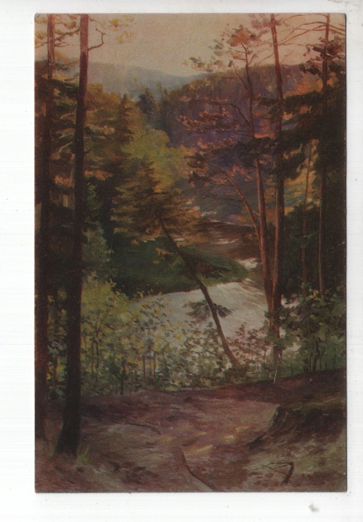 Olsztyn, Allenstein O/P., Stadtwald, -584