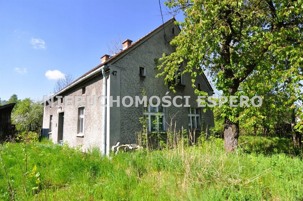 Dom, Raszowa, Leśnica (gm.), 100 m²