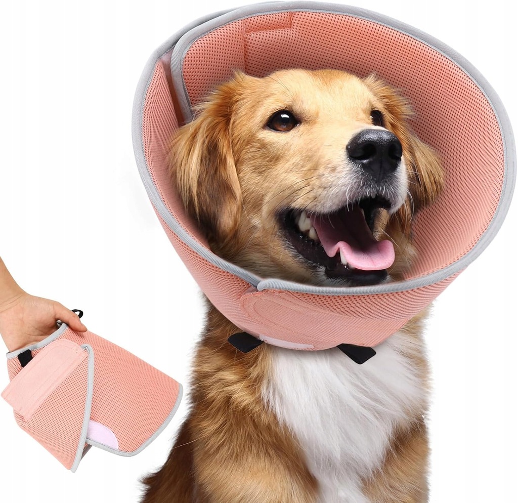 Kołnierz pooperacyjny dla psa CE rozmiar XL