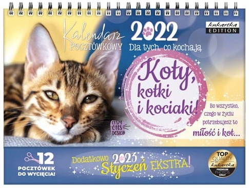 Kalendarz 2022 pocztówkowy Koty, kotki i kociaki