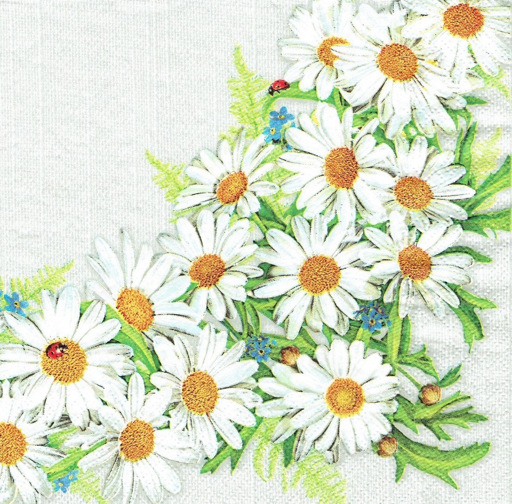 Serwetka decoupage 331 serwetki Kwiaty rumianki