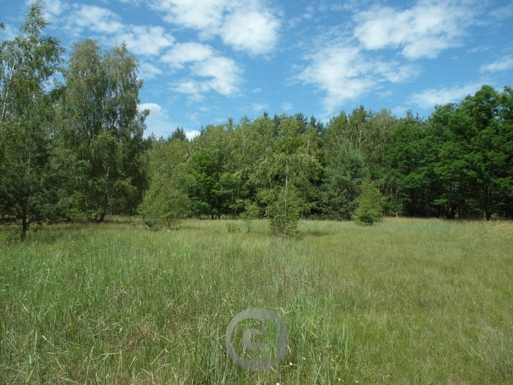 Działka, Górki Noteckie, Zwierzyn (gm.), 1066 m²