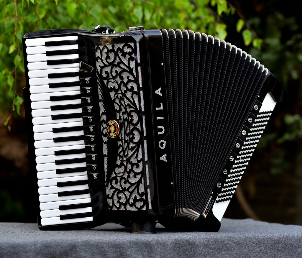 Akordeon Włoski Aquila 120 basów 5 chórów Cassotto