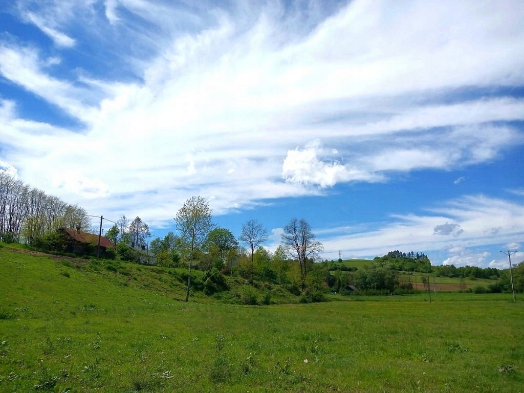 Działka, Rzepiennik Strzyżewski, 7600 m²