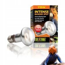 c9682 Żarówka Exo-Terra Intense Basking Spot 75 W