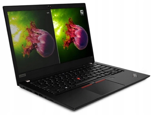 Купить Lenovo ThinkPad T490 i5-8265U 8 ГБ 256PCIe Win10pro: отзывы, фото, характеристики в интерне-магазине Aredi.ru