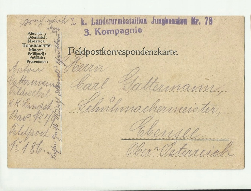 293/ Feldpost 1915