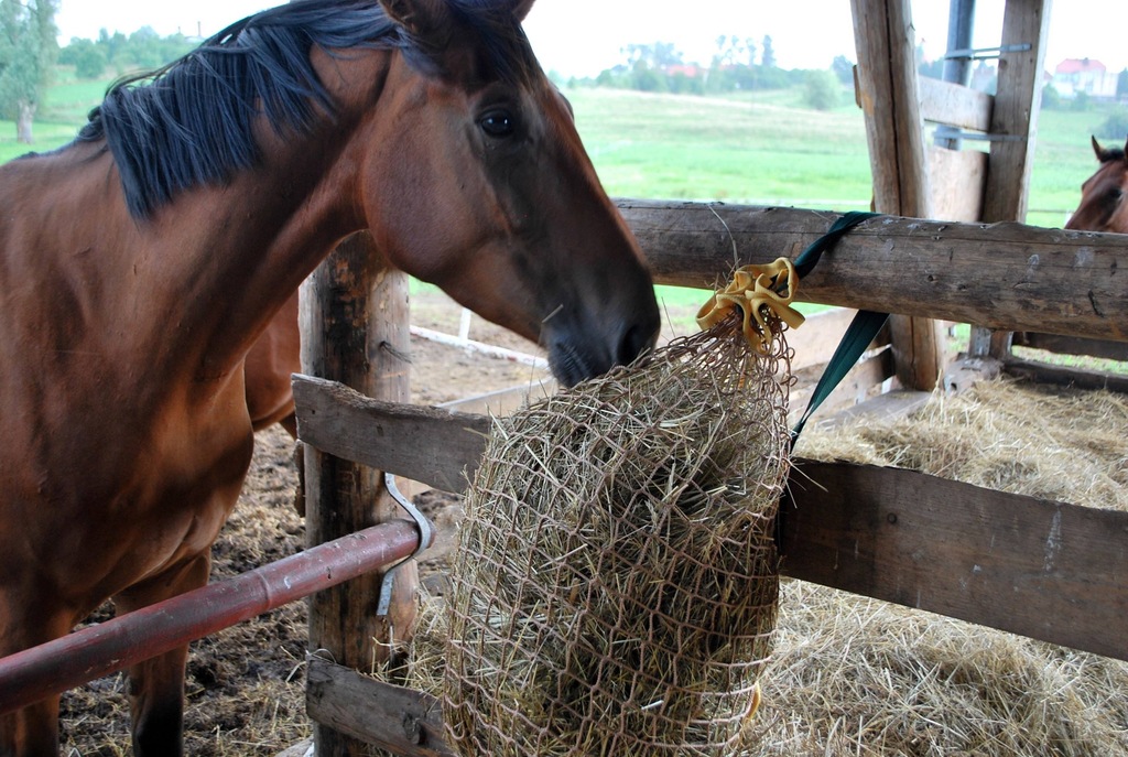 Siatka na siano dla konia bezwęzłowa oczko 4,5 cm - 7559705053