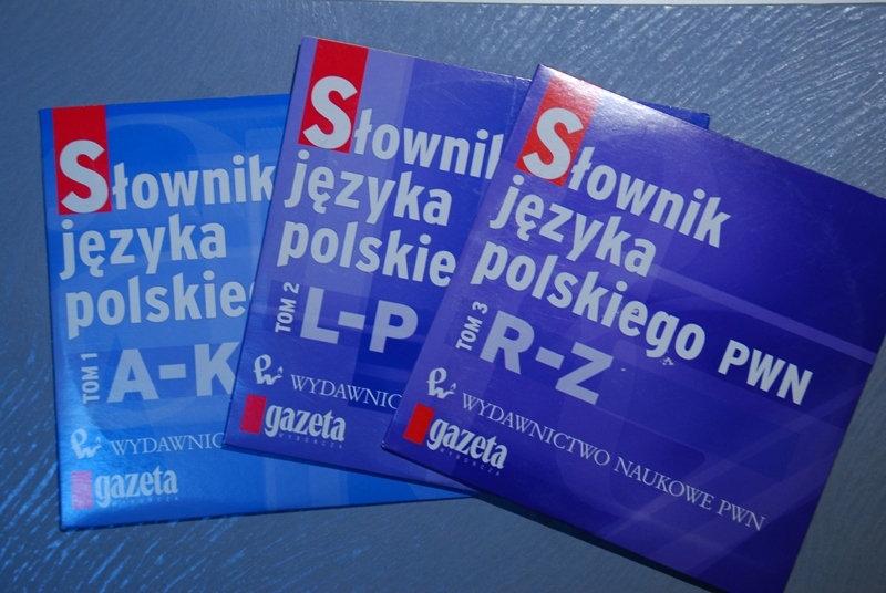 SŁOWNIK JĘZYKA POLSKIEGO 3 cd