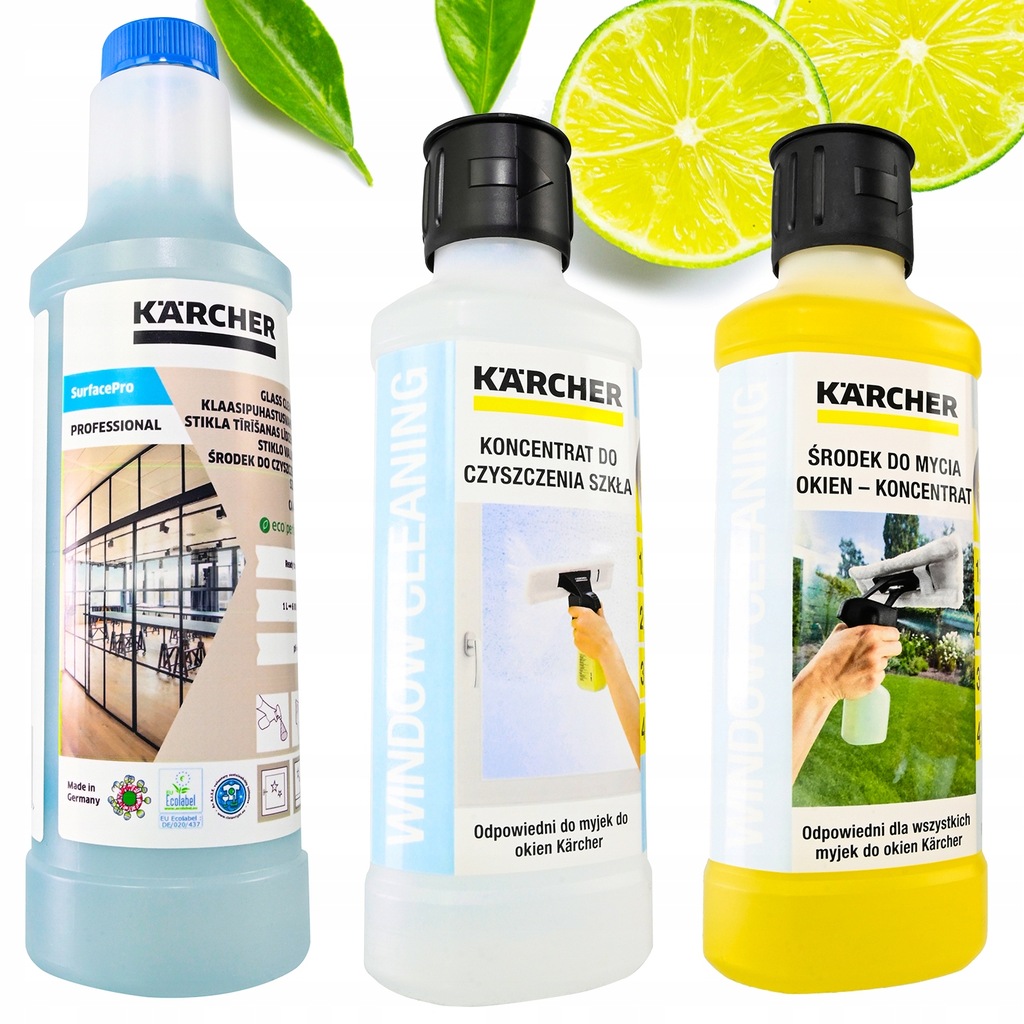 Купить КОМПЛЕКТ МОЕЧНОЙ МАШИНЫ ДЛЯ ОКОН KARCHER WV6 PLUS GIANT: отзывы, фото, характеристики в интерне-магазине Aredi.ru