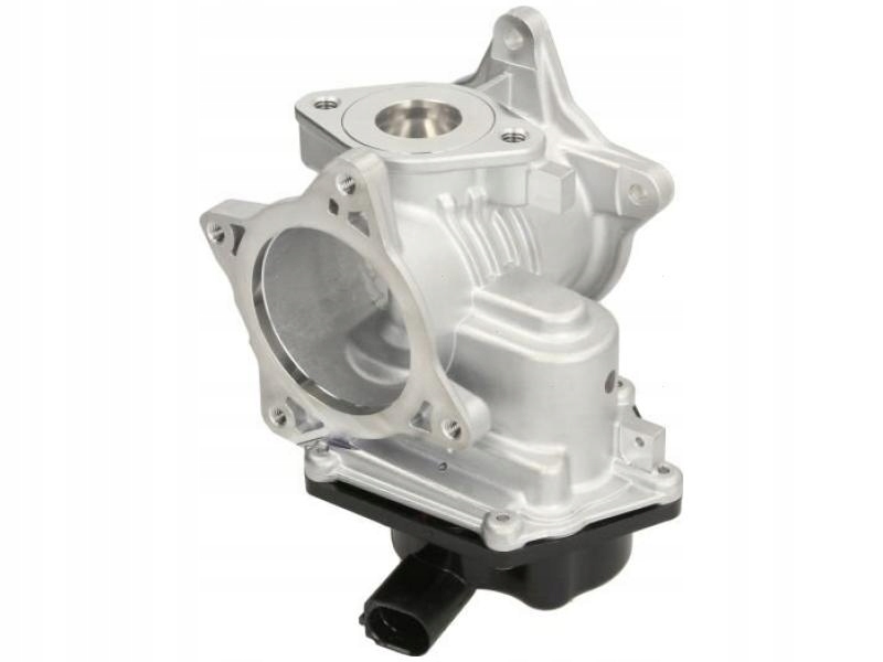 PIERBURG Pierburg 7.24809.93.0 Zawór AGR