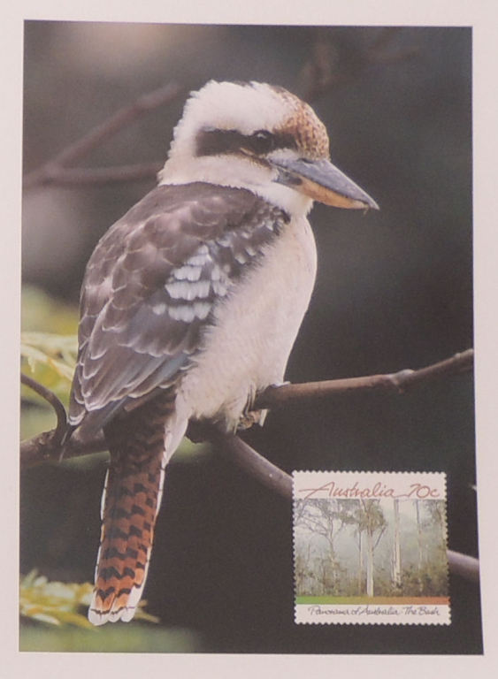 Pozdrowienia z Australii - kartka pocztowa- fauna