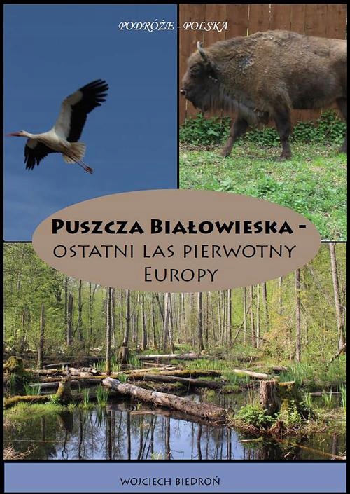 PUSZCZA BIAŁOWIESKA - OSTATNI LAS PIERWOT.. EBOOK