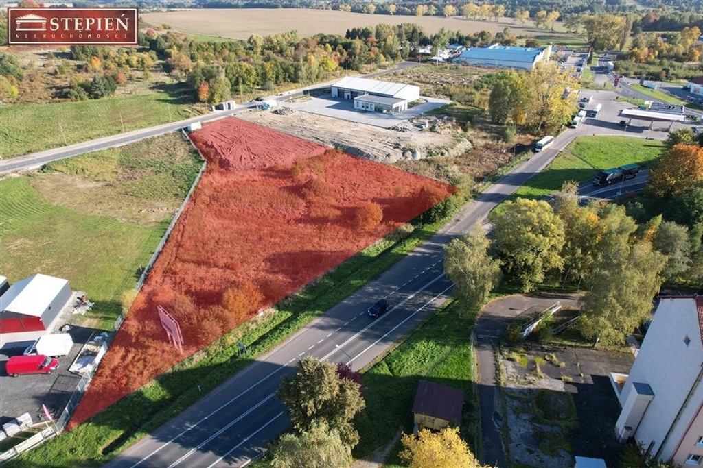 Działka, Gryfów Śląski, 7000 m²