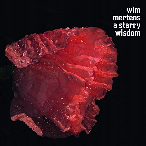 WIM MERTENS: A STARRY WISDOM [CD]