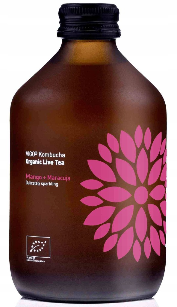 Kombucha Mango + Marakuja BIO 330 ml VIGO