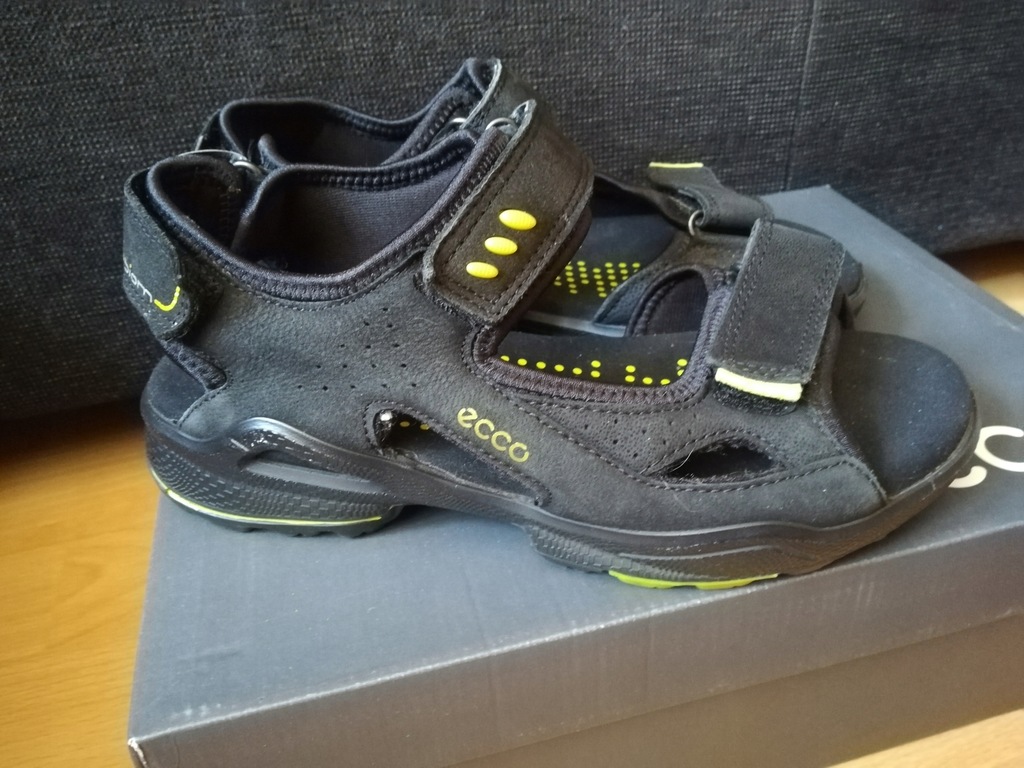 ecco biom 37