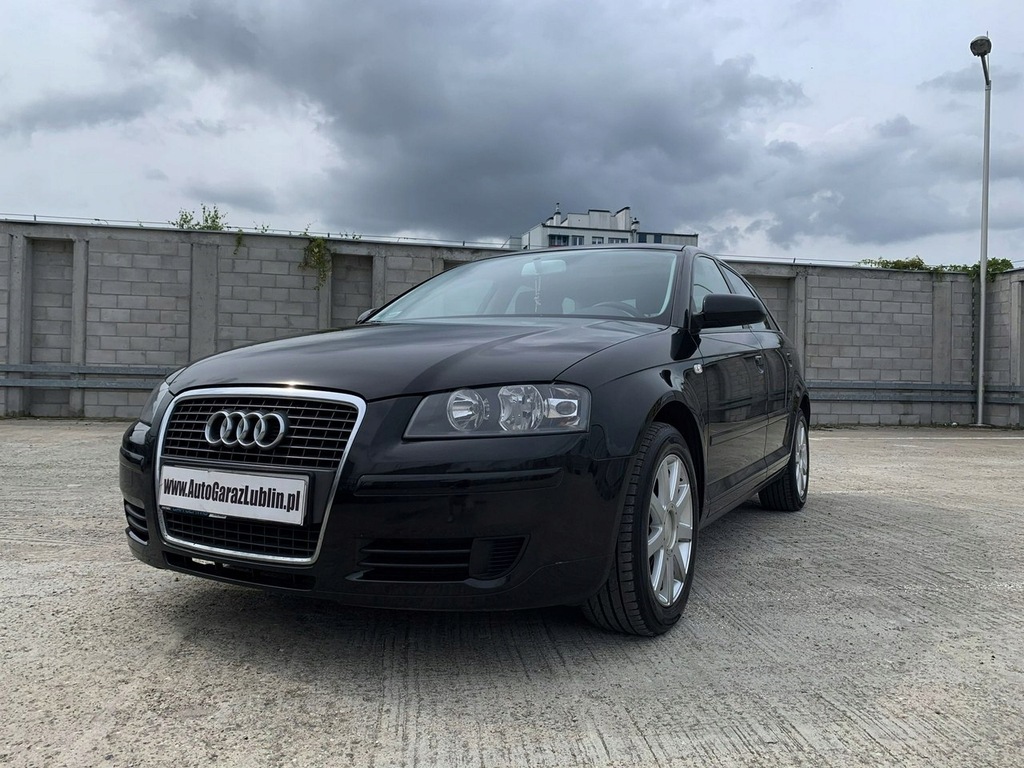 Audi A3 1.9 TDi Manual 5D Klima Zarejestrowany