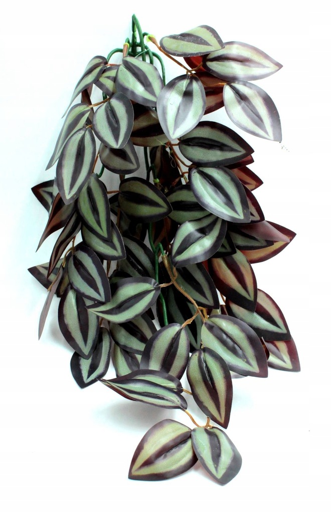 Roślina do terrarium HP TRZYKROTKA L 50cm