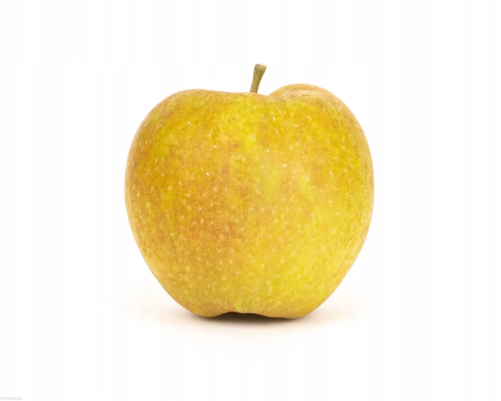 Jabłko Boskop 1 kg