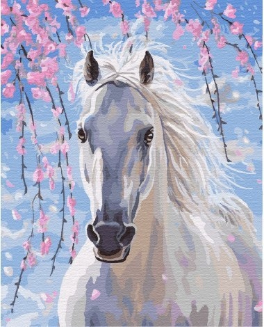 Malowanie po numerach Biały Koń 40x50 Płótno + Far