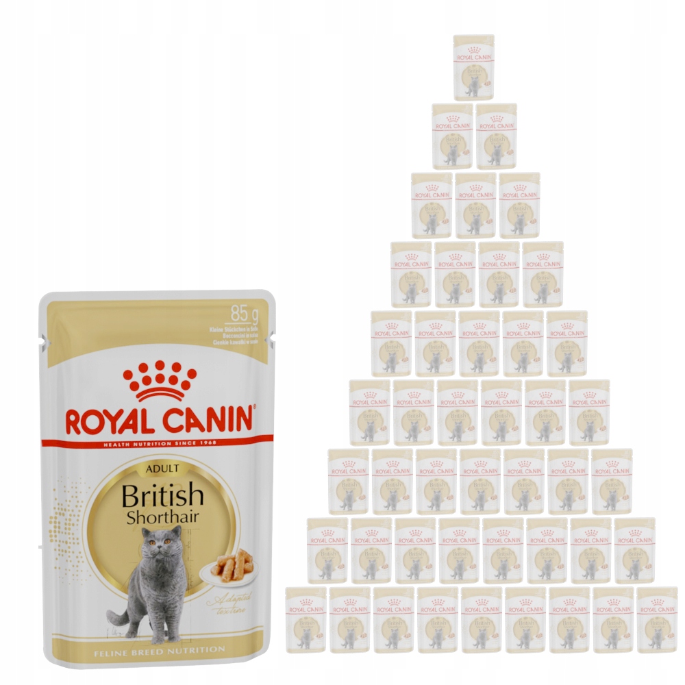 ROYAL CANIN British Shorthair karma mokra 48x85g