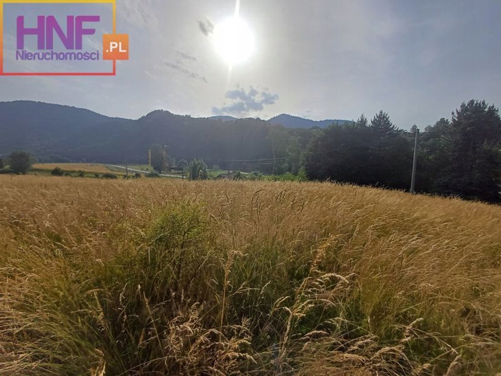 Działka, Zubrzyk, 2600 m²