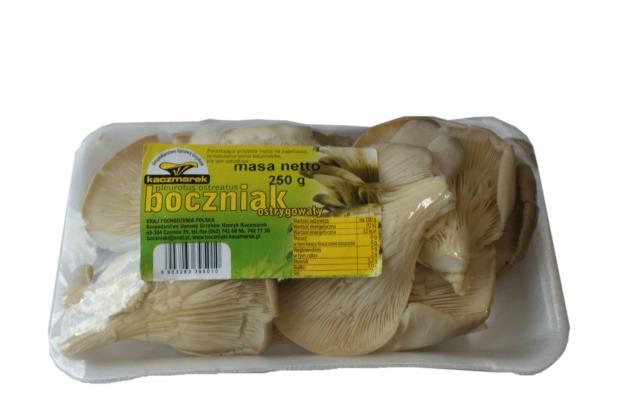 Boczniak 250g