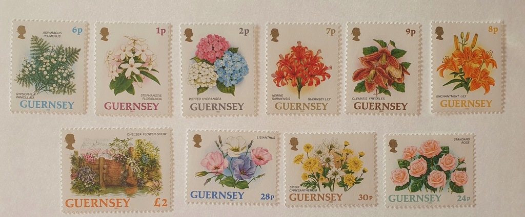 Flora - Kwiaty - Guernsey