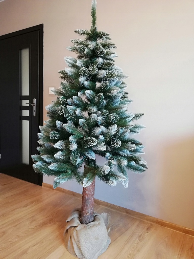 Choinka na Pniu SOSNA DIAMENTOWA 200 cm 7621043230 oficjalne