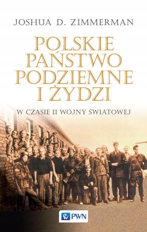 POLSKIE PAŃSTWO PODZIEMNE I ŻYDZI JOSHUA.. EBOOK