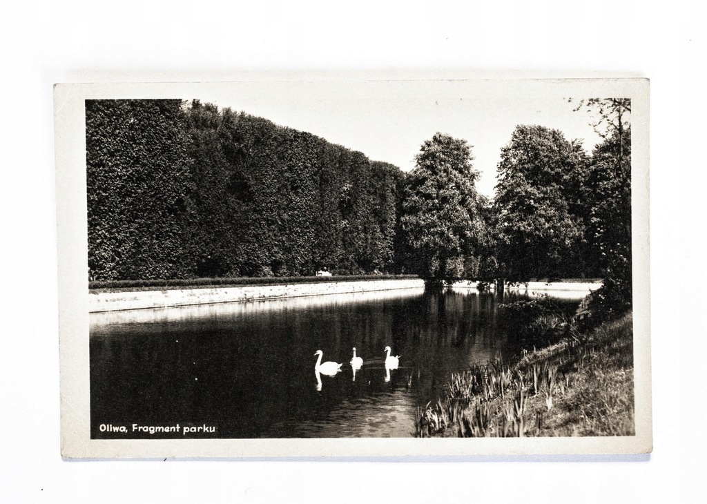 GDAŃSK, OLIWA - PARK 1949