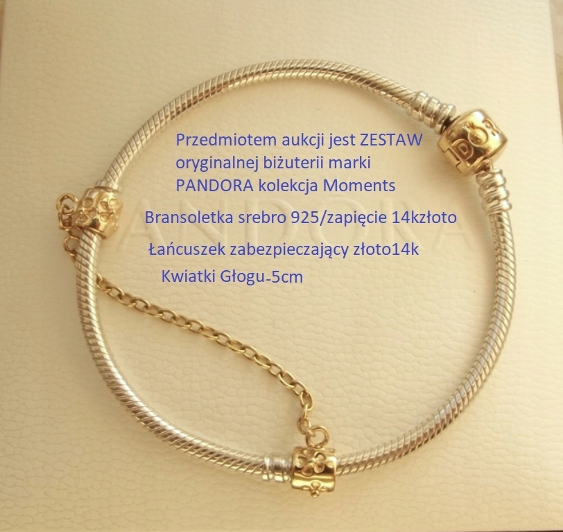 PANDORA Bransoletka 19cm + Łańcuszek złoto14k/585