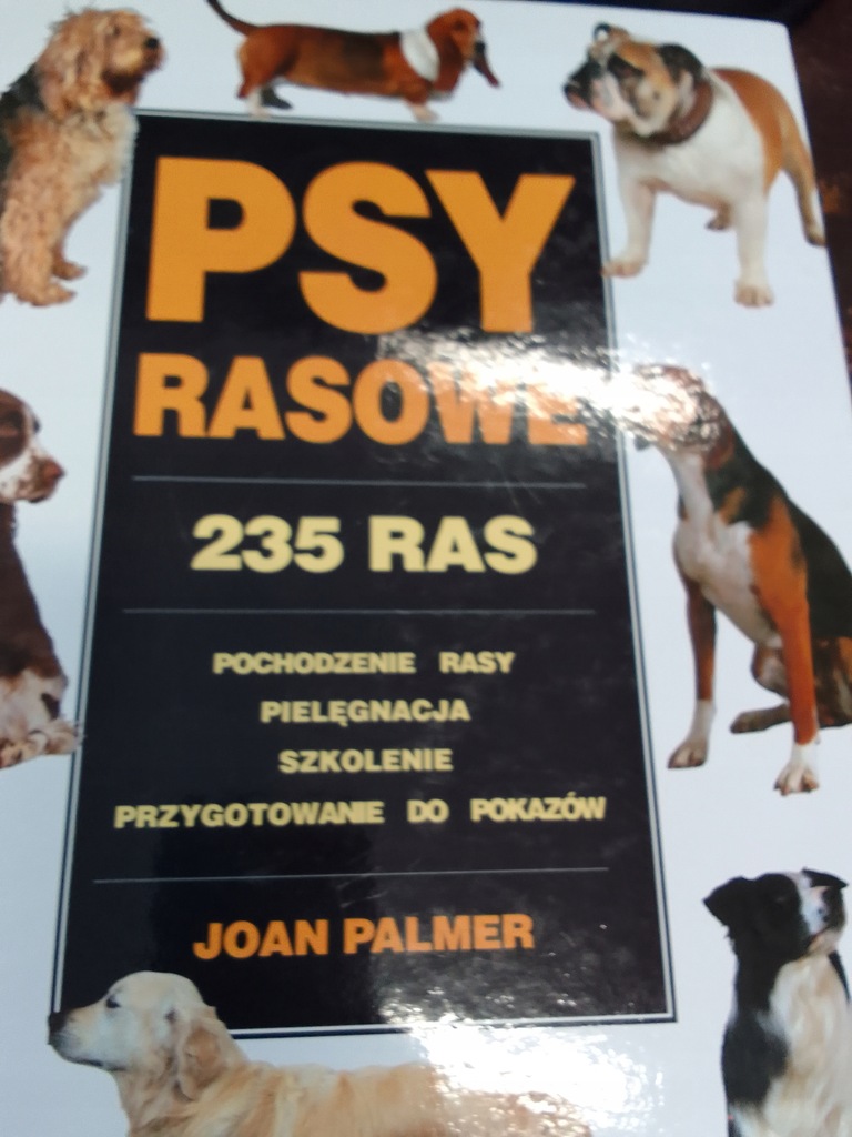 Palmer PSY RASOWE